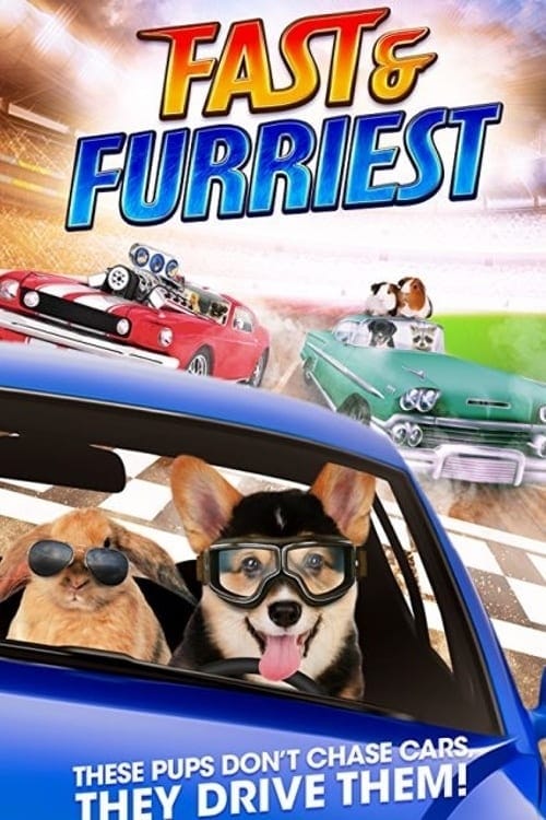 فيلم Fast and Furriest 2017 مترجم اون لاين