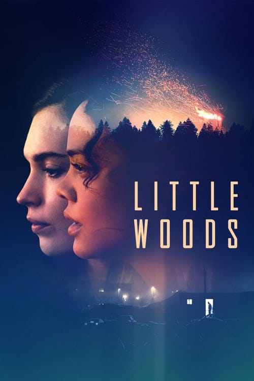 فيلم Little Woods 2018 مترجم