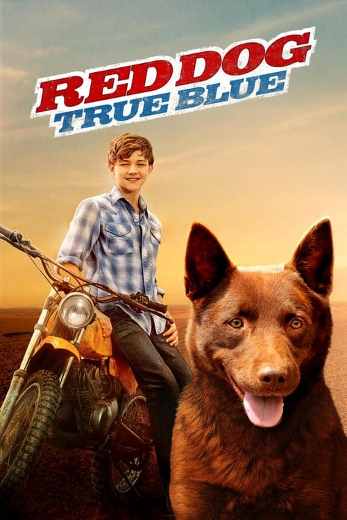 فيلم Red Dog True Blue 2016 مترجم كامل HD اون لاين