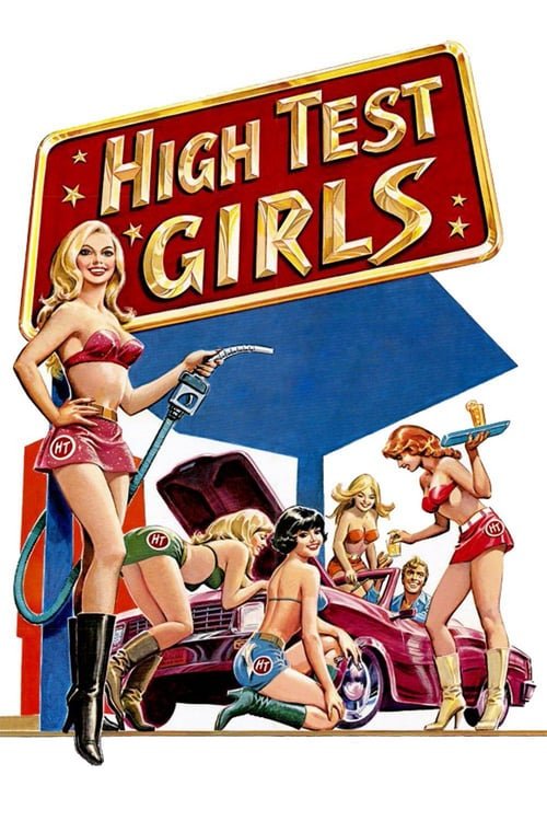 فيلم Six Swedish Girls at a Pump 1980 اون لاين للكبار فقط +18