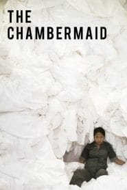 فيلم The Chambermaid 2019 مترجم