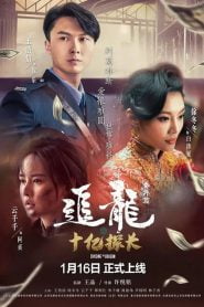 فيلم Chasing the Dragon: The One Billion Dollar Inspector 2020 مترجم