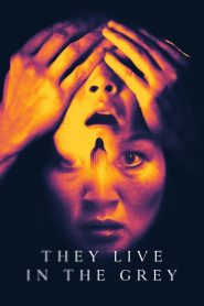 فيلم They Live in The Grey 2022 مترجم اون لاين