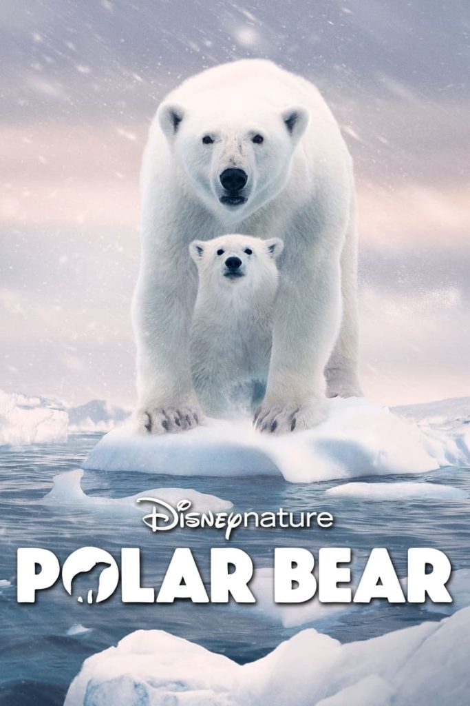 فيلم Polar Bear 2022 مترجم اون لاين