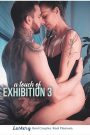 فيلم A Touch Of Exhibition 3 2025 اون لاين للكبار فقط