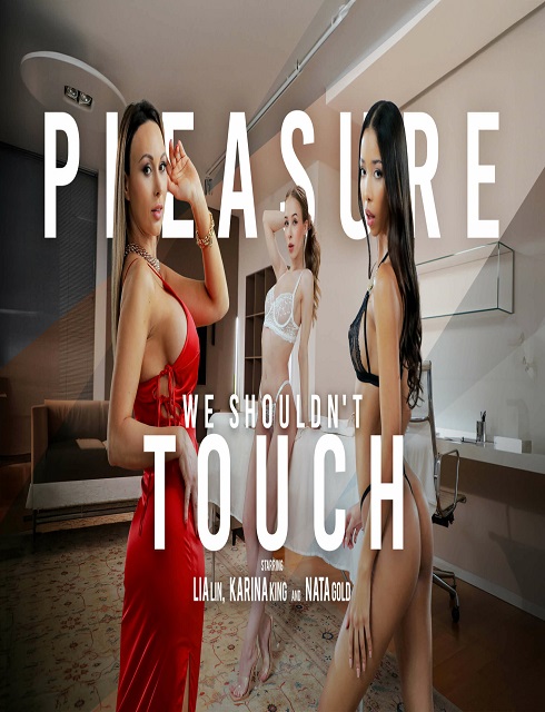 فيلم Pleasure We Shouldn’t Touch 2025 اون لاين للكبار فقط